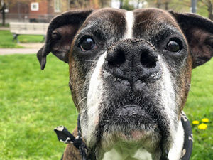 Meet your Posher, Jody